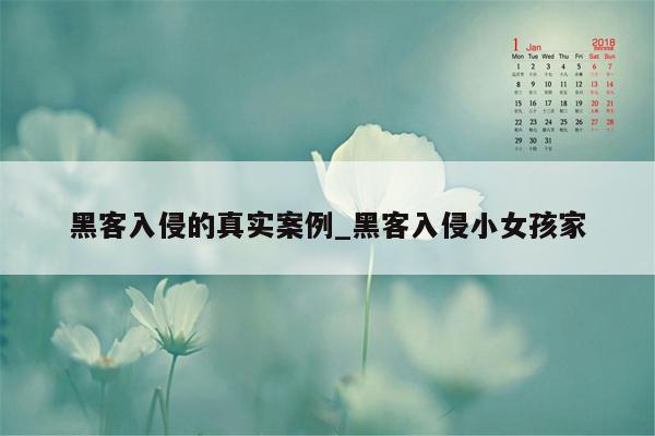 黑客入侵的真实案例_黑客入侵小女孩家