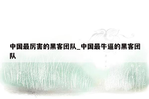 中国最厉害的黑客团队_中国最牛逼的黑客团队
