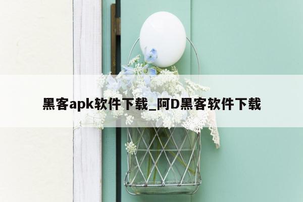 黑客apk软件下载_阿D黑客软件下载