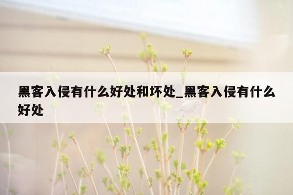黑客入侵有什么好处和坏处_黑客入侵有什么好处