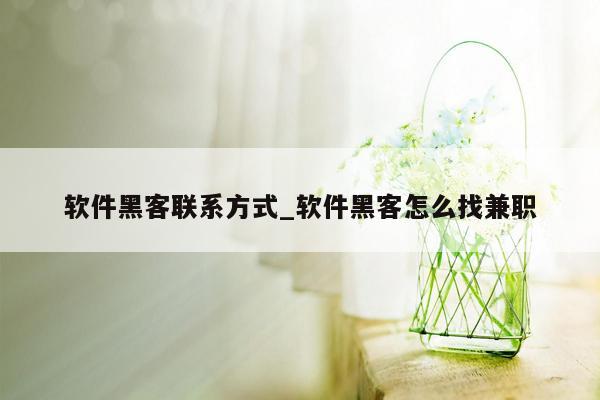 软件黑客联系方式_软件黑客怎么找兼职