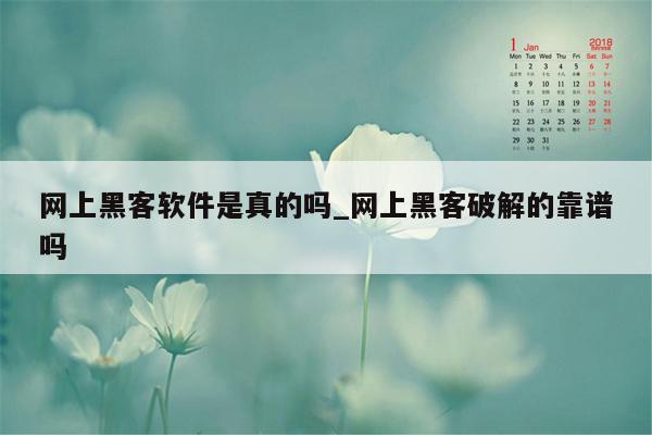 网上黑客软件是真的吗_网上黑客破解的靠谱吗