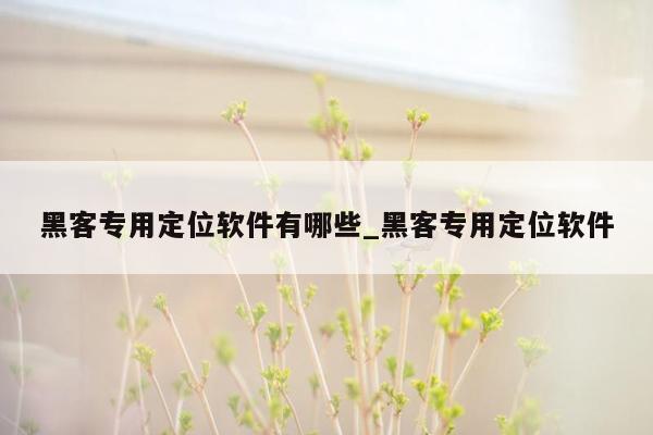 黑客专用定位软件有哪些_黑客专用定位软件