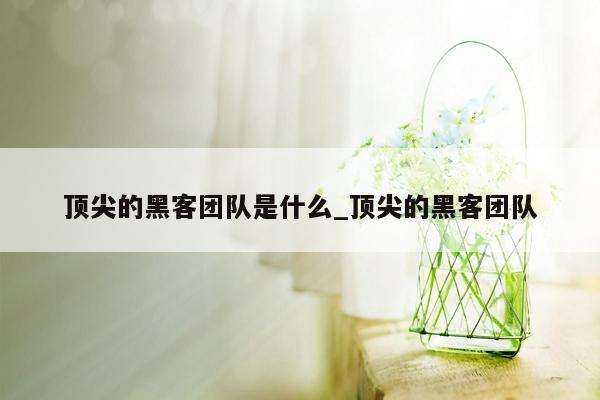 顶尖的黑客团队是什么_顶尖的黑客团队