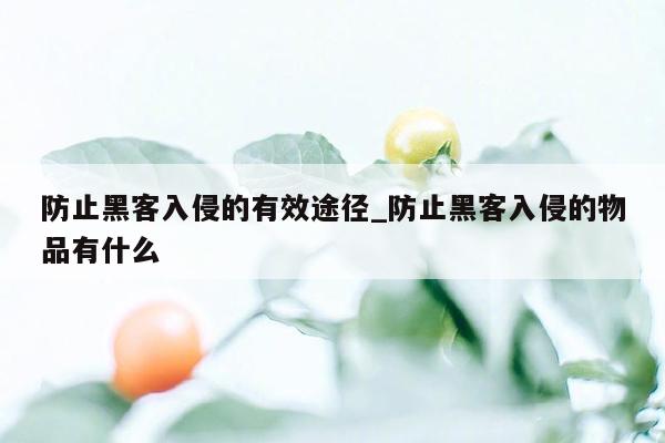 防止黑客入侵的有效途径_防止黑客入侵的物品有什么