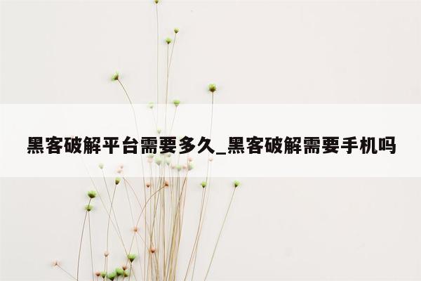 黑客破解平台需要多久_黑客破解需要手机吗