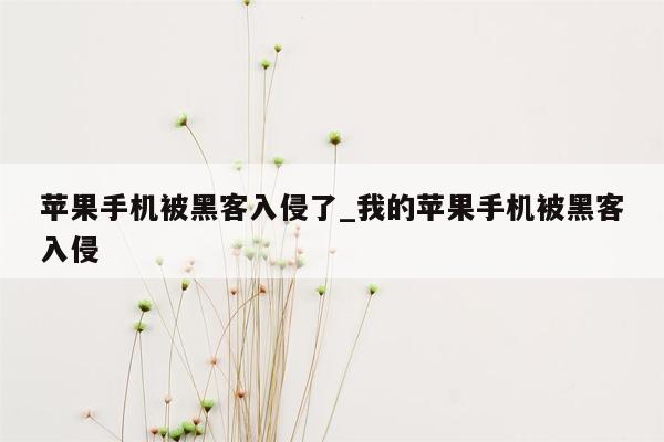 苹果手机被黑客入侵了_我的苹果手机被黑客入侵