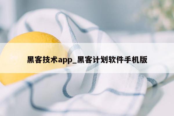 黑客技术app_黑客计划软件手机版