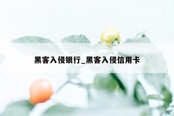 黑客入侵银行_黑客入侵信用卡