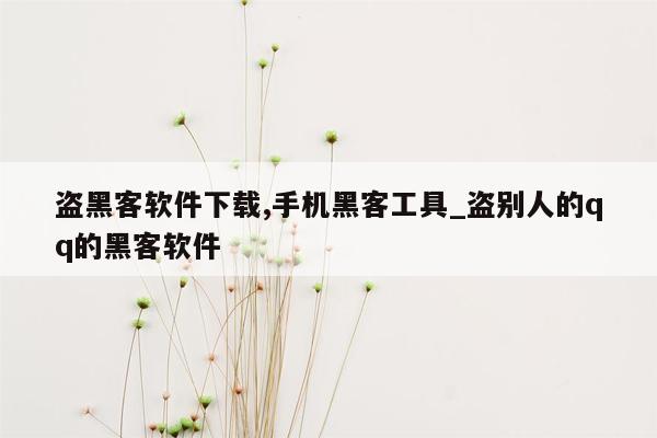 盗黑客软件下载,手机黑客工具_盗别人的qq的黑客软件