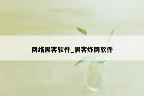 网络黑客软件_黑客炸网软件