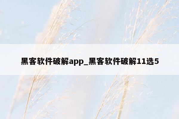 黑客软件破解app_黑客软件破解11选5