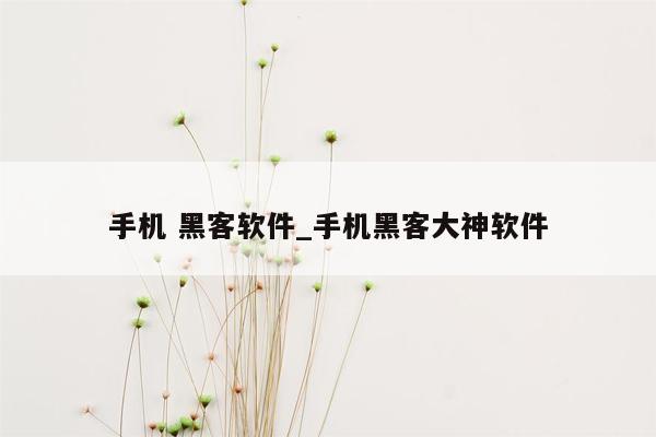 手机 黑客软件_手机黑客大神软件