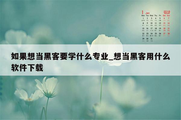 如果想当黑客要学什么专业_想当黑客用什么软件下载