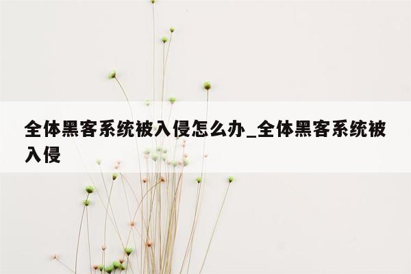 全体黑客系统被入侵怎么办_全体黑客系统被入侵