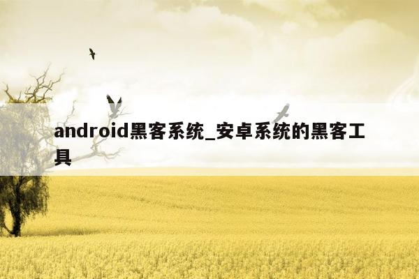 android黑客系统_安卓系统的黑客工具