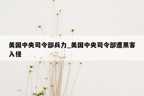 美国中央司令部兵力_美国中央司令部遭黑客入侵