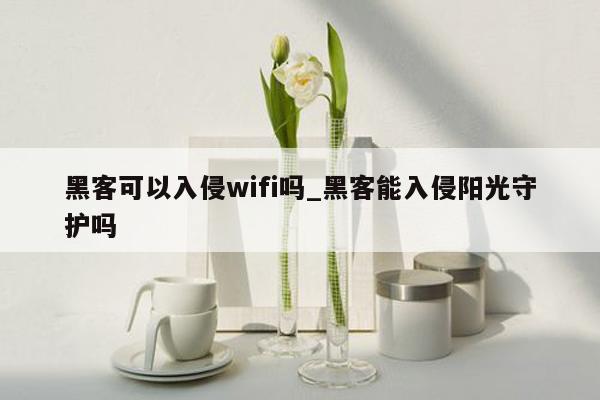 黑客可以入侵wifi吗_黑客能入侵阳光守护吗