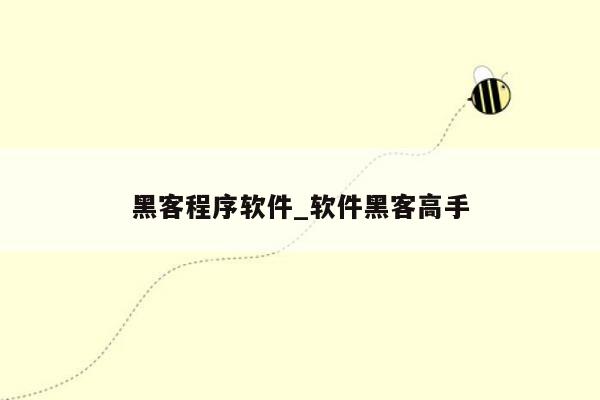 黑客程序软件_软件黑客高手