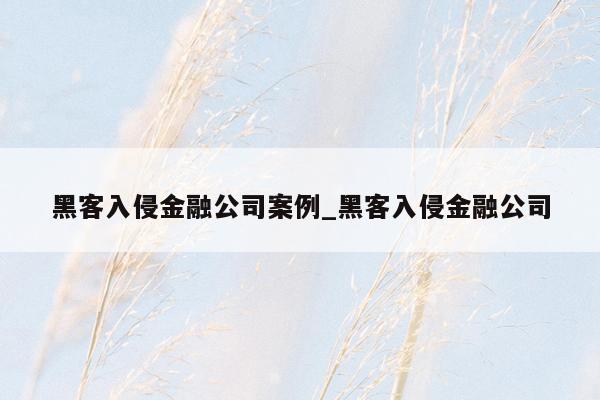 黑客入侵金融公司案例_黑客入侵金融公司