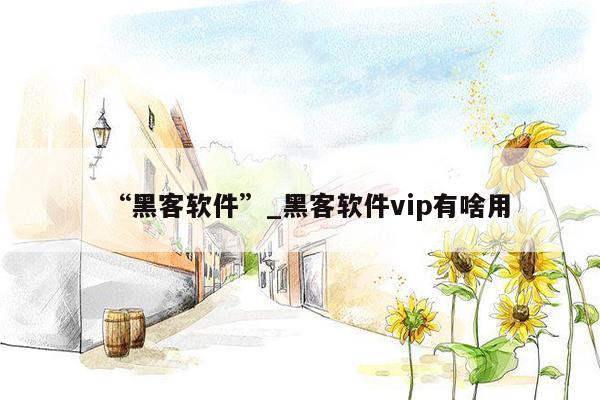 “黑客软件”_黑客软件vip有啥用