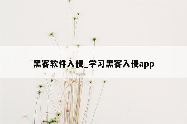 黑客软件入侵_学习黑客入侵app