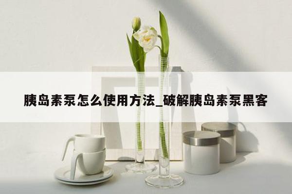 胰岛素泵怎么使用方法_破解胰岛素泵黑客