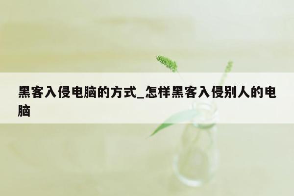 黑客入侵电脑的方式_怎样黑客入侵别人的电脑