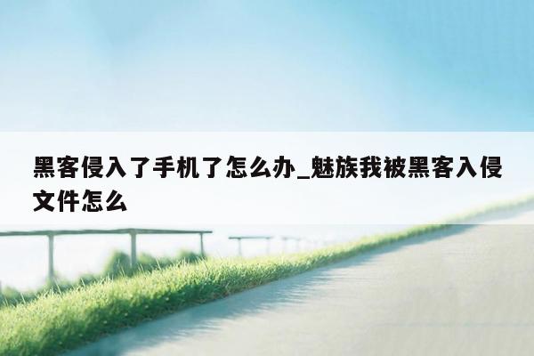 黑客侵入了手机了怎么办_魅族我被黑客入侵文件怎么