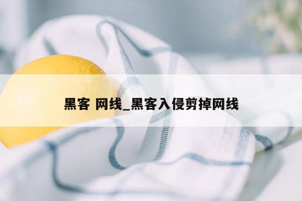 黑客 网线_黑客入侵剪掉网线