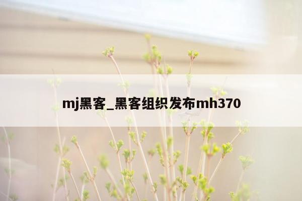 mj黑客_黑客组织发布mh370