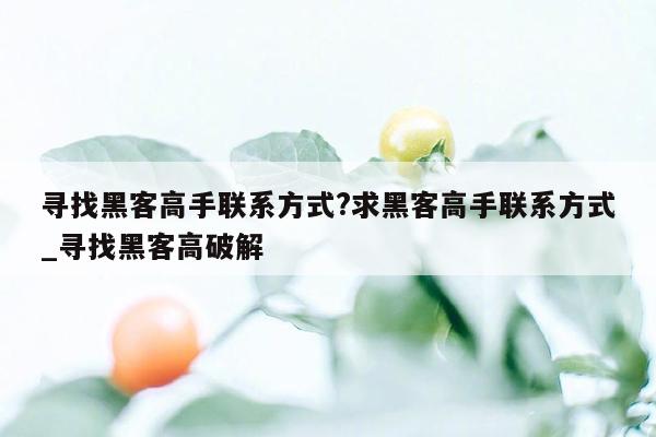 寻找黑客高手联系方式?求黑客高手联系方式_寻找黑客高破解