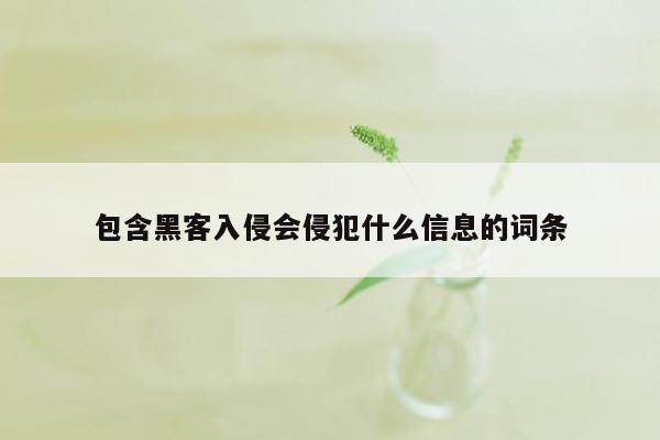 包含黑客入侵会侵犯什么信息的词条