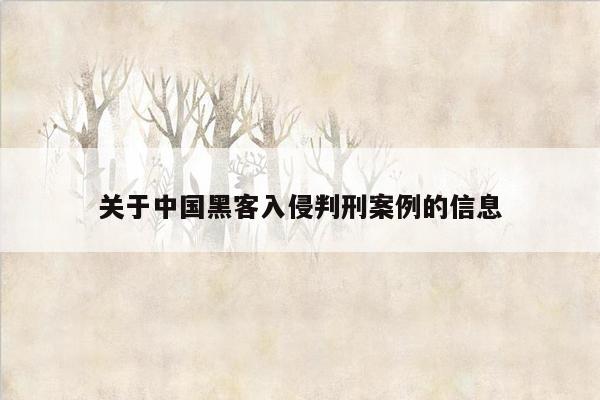 关于中国黑客入侵判刑案例的信息
