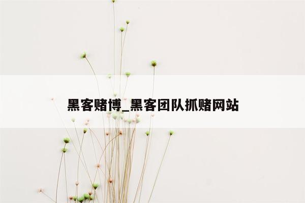 黑客赌博_黑客团队抓赌网站