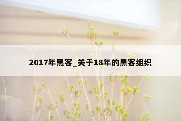 2017年黑客_关于18年的黑客组织