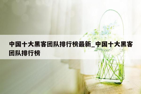中国十大黑客团队排行榜最新_中国十大黑客团队排行榜