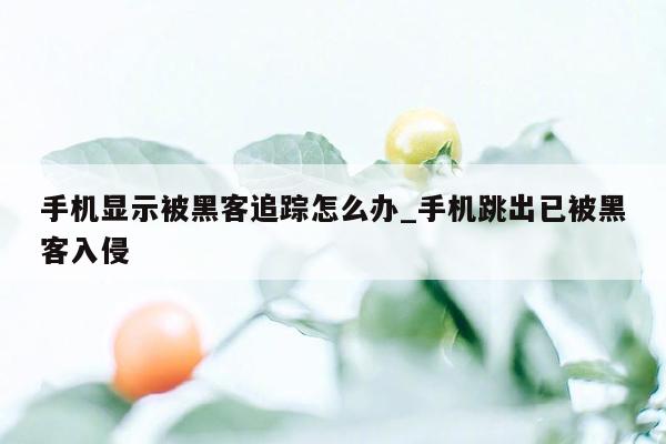 手机显示被黑客追踪怎么办_手机跳出已被黑客入侵