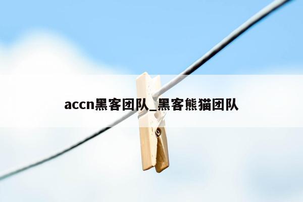 accn黑客团队_黑客熊猫团队