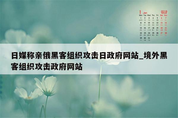 日媒称亲俄黑客组织攻击日政府网站_境外黑客组织攻击政府网站