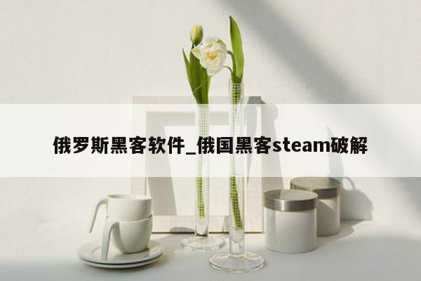 俄罗斯黑客软件_俄国黑客steam破解