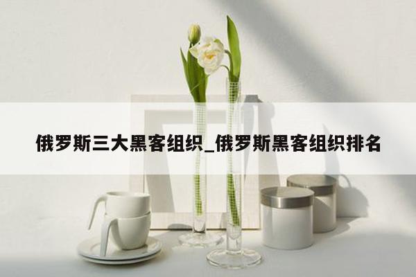 俄罗斯三大黑客组织_俄罗斯黑客组织排名