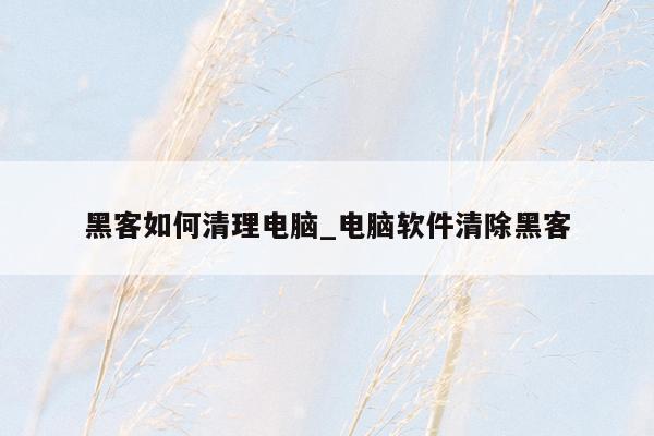 黑客如何清理电脑_电脑软件清除黑客
