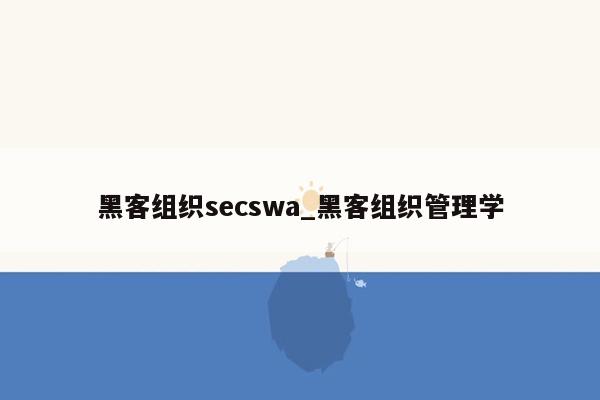 黑客组织secswa_黑客组织管理学