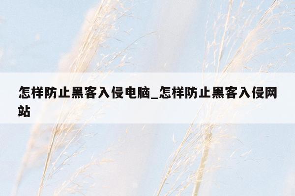 怎样防止黑客入侵电脑_怎样防止黑客入侵网站
