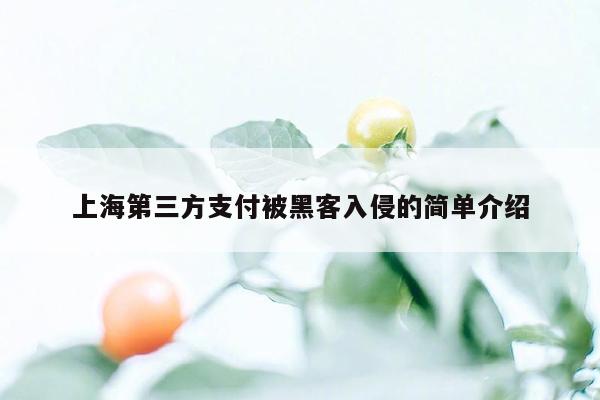 上海第三方支付被黑客入侵的简单介绍