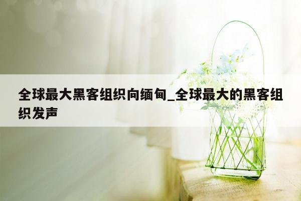 全球最大黑客组织向缅甸_全球最大的黑客组织发声