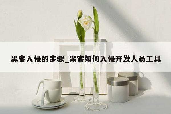 黑客入侵的步骤_黑客如何入侵开发人员工具