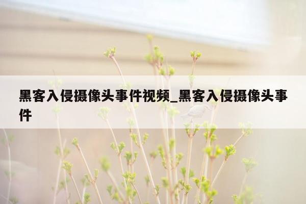 黑客入侵摄像头事件视频_黑客入侵摄像头事件