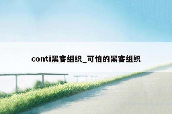 conti黑客组织_可怕的黑客组织